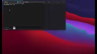 Pokemon Revolution Online | FIX - Valentines MAC PROClient Error: 