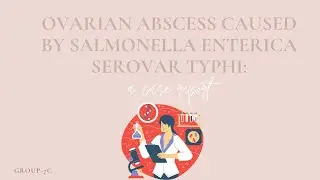 Microbiology Case Study: Ovarian abscess caused by Salmonella enterica serovar Typhi: a case report