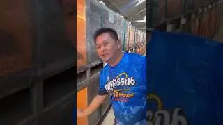ส.มีสุวรรณ พามาดูการเป็นอยู่ของลูกไก่ของพี่น้อง 