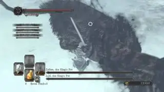 Lud, the King's Pet & Zallen, the King's Pet Boss Fight - Dark Souls 2 Scholar of the First Sin PS4