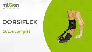 Comment mettre en place son attelle Dorsiflex assist I Mikan