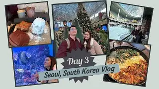 Day 3 in Seoul: Lotte World, COEX Aquarium & Dakgalbi   #lotteworld #coexmall #dakgalbi #seoul 