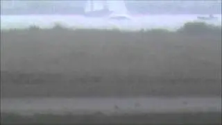 Natuur bij de Waddenzee en het Lauwersmeer