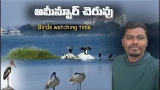 Ameenpur Lake Winter Birds: 🇮🇳 Hyderabad's BEST Bird Watching Spot! (Migratory Species)