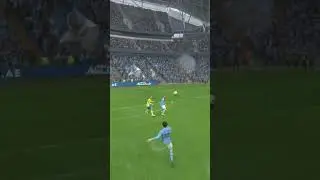 BERNARDO SILVA SCORES AMAZING LONG RANGE ACROBATIC VOLLEY | TOP FIFA 23 GOALS