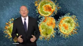 First case of MERS virus reported in Egypt