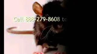 Pest Control Supplies Los Angeles Ca Termite Chemicals
