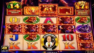 BUFFALO BONUS GONE WILD (RECORD SET)