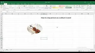 How to crop picture as a callout in excel