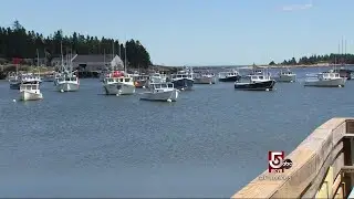 Schoodic Peninsula: Acadia's Hidden Gem
