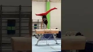 Stephen Nedoroscik's Pommel Routine for the WGA Cash Cup