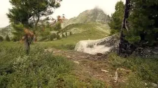 Твоя высота [фильм]