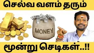 வீட்டில் நிம்மதி நிலைக்க / பணம், பெயர், புகழ் கிடைக்க இந்த 3 செடிகளை வீட்டில் வளர்த்தால் போதும் ♒