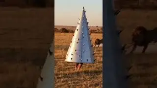 He thought he could replicate spike man vs lions