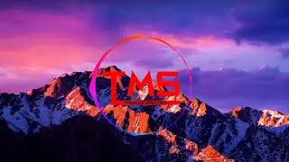 Im A Survivor   TMS Remix Tomb Raider Version