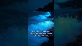 Mind-Blowing Facts About the Ocean&rsquo;s Deepest Mysteries. 😱  #PacificOcean #DeepSea#shorts 1492