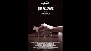 The Scissors (Les Ciseaux) by Katia Kurtness &mdash;&nbsp; Trailer