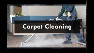 Eco friendly carpet cleaning Auckland services