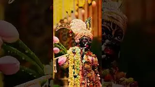 Radhe Radhe &hearts;️&hearts;️ #jaishreeradherani #radharani #radhekrishna #whitelabrodorsnowhi