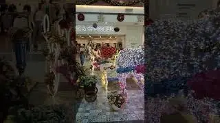 Z Square Mall Kanpur 🛍️ #shopping #christmas #tranding