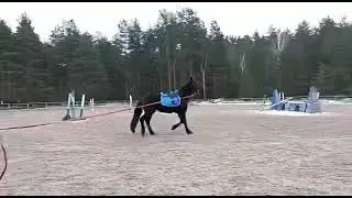 Верония отлично приняла впервые гурту.🥰