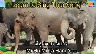 Learning Thai language/Learn to Sing Thai Song/Pang Chang/Elephant