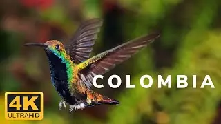 Travel Colombia 4k UHD HDR- Bogota, Medellin,Cartagena Tourist spot Of Colombia With Soothing Music