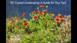 NC Coastal Landscaping: A Guide for Your Yard