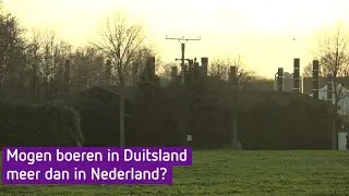 Stikstof: mogen Duitse boeren meer dan Nederlandse boeren?
