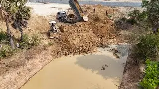 New Filling Pond Project By Strongly Mini Caterpillar Dozer D3C With Dump Trucks 25t Moving Soil
