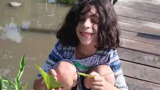 Discover Ithaca Children's Garden