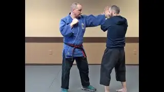 Tai Chi application: Wave Hands Like Clouds