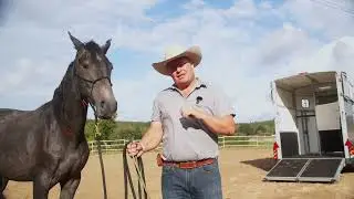 The TOP 5 Deadly Horse Trailer Loading Errors You MUST Avoid! 🚚🐎