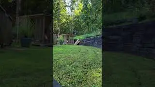 benjamin pioneer airbow 40 yards no rest