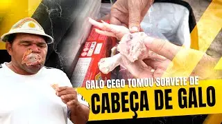 GALO-CEGO TOMOU SORVETE COM CABEÇA DE GALO