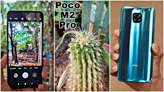 Poco M2 Pro camera test | Poco M2 Pro camera review | Poco M2 Pro full camera review | Poco M2 Pro