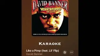 David Banner Like a pimp karaoke ft Lil Flip