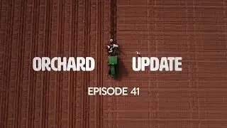 Orchard Update with Dave Gleason - Episode 41