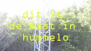 mast Hummelo
