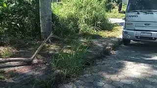 16 de janeiro de 2026