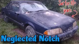 INTRODUCING- My Notchback Mustang! | The Neglected Notch | #automobile 