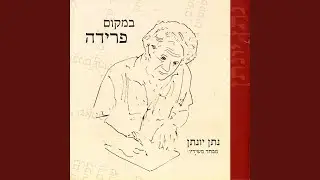 פרחים של קצף
