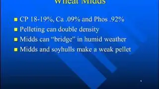 Feeding Wheat and Wheat co-products
