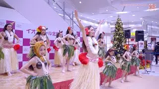 タヒチヌイ タヒチアンダンスショー イオンモール北戸田 2023.12.17