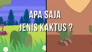 Kaktus Part 1 - Apa saja jenis-jenis kaktus? (#kaktus & #sekulen #sukulen)