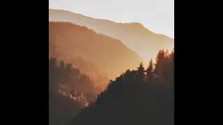 Brace - Siarate