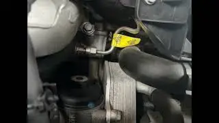Anyone knows what this clicking/ticking sound is?
