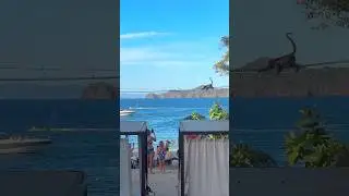 В этом отеле очень весело проводить время с животными!