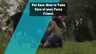 Pet Care: How to take care of your furry friend-series