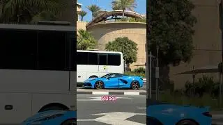#dubai #exploredubai #car #sportscar #lamborghini #explore #visitdubai #travel #trending #viralshort